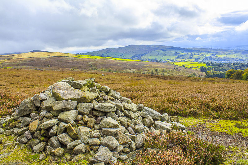 Middle Moor Middle Moor
